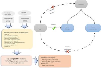 Causal effect of gut microbiota on Gastroduodenal ulcer: a two-sample Mendelian randomization study